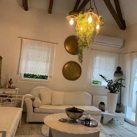 Vilă 1922 Epoch Harmony Oikia Volos